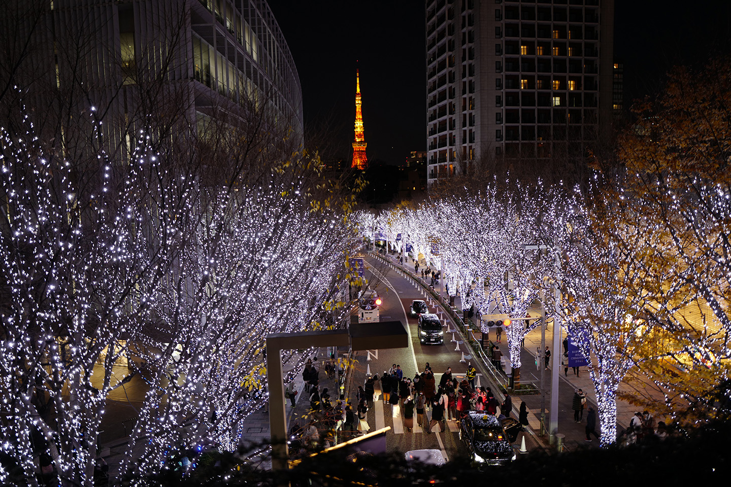2022東京聖誕燈 37