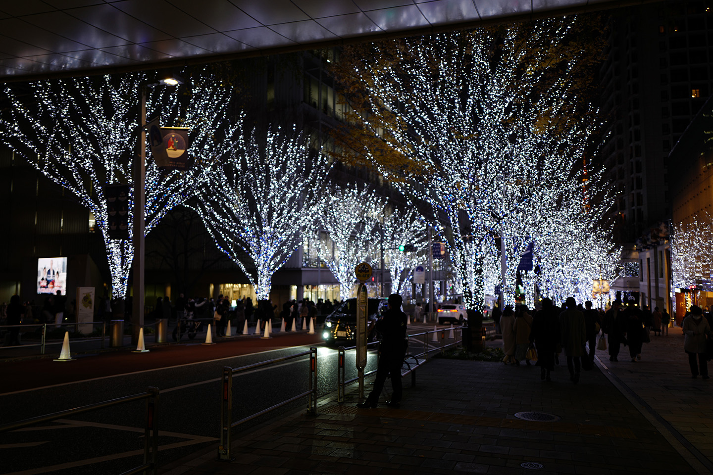2022東京聖誕燈 39