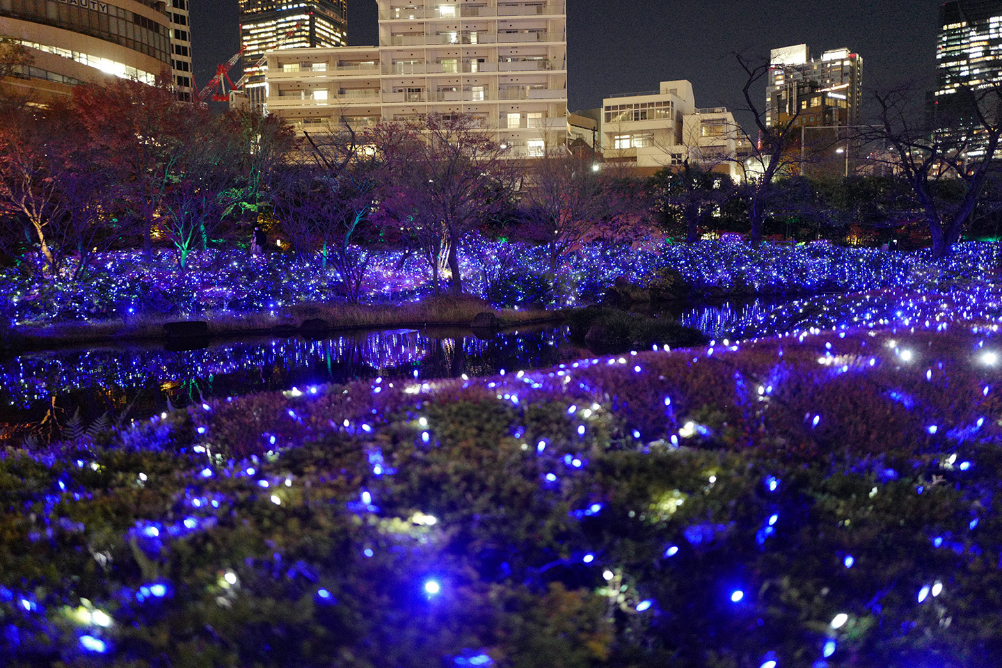 2022東京聖誕燈 109