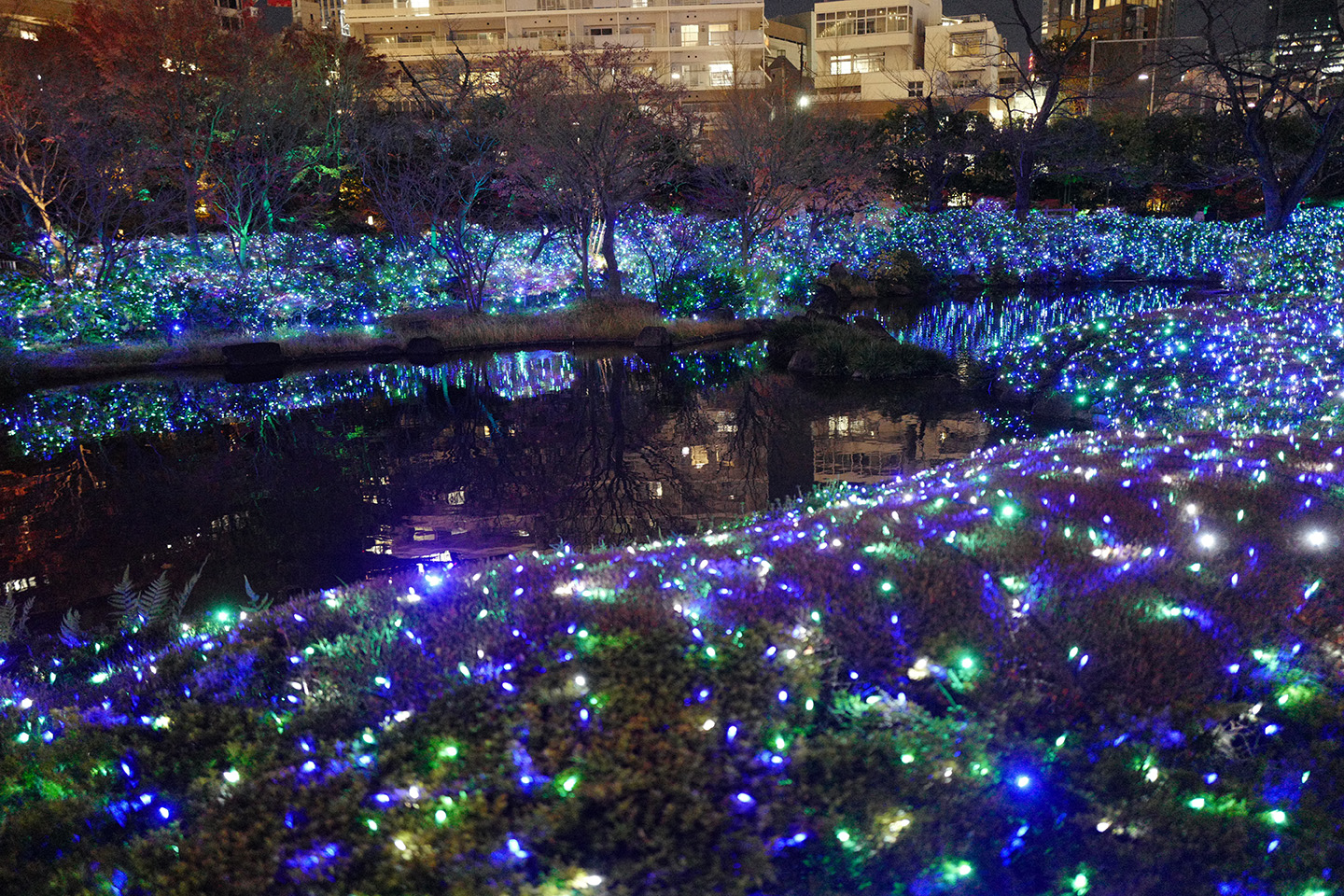 2022東京聖誕燈 46